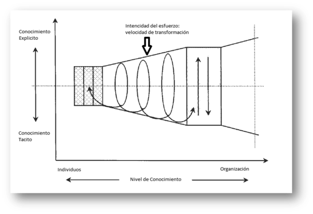 Espiral organizacional